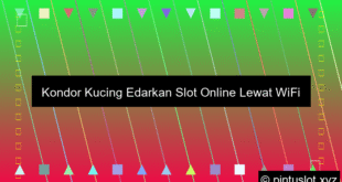 Kondor Kucing Edarkan Slot Online Lewat Wifi Sekolah