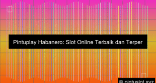 Pintuplay Habanero