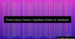 Promo Via Dana